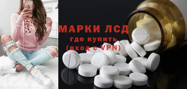 сатива Нефтекумск