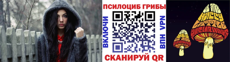 хочу наркоту Отрадное гидра ссылка Псилоцибиновые грибы мицелий