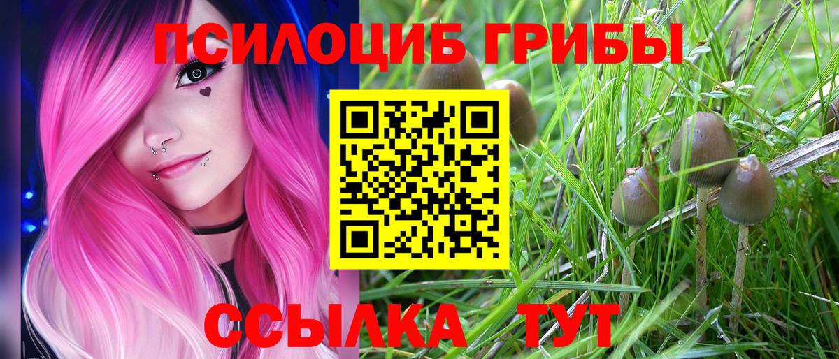 Галлюциногенные грибы Cubensis Отрадное