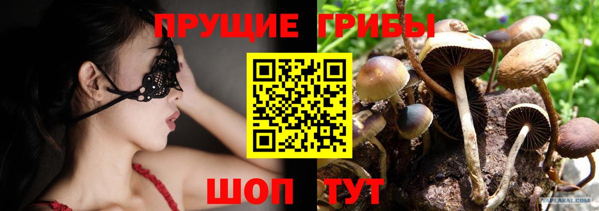 Отрадное  Галлюциногенные грибы Cubensis  Вход с VPN 